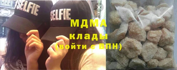 индика Абаза