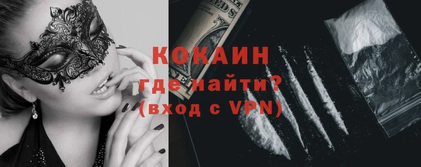 индика Абаза