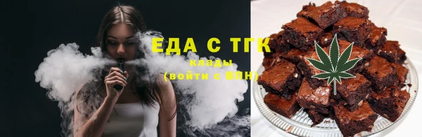 индика Абаза