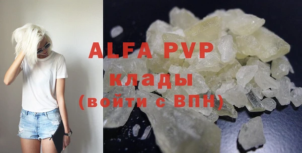 индика Абаза