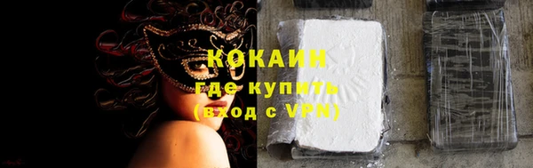 индика Абаза