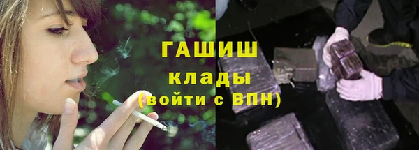 индика Абаза