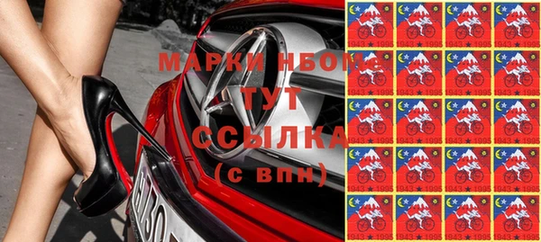 индика Абаза
