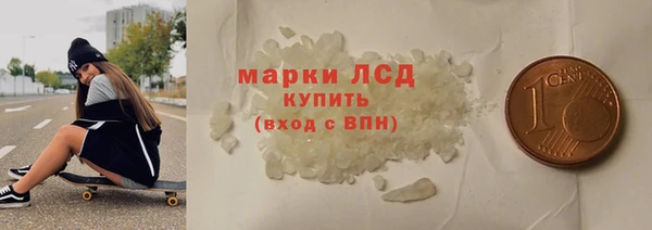 индика Абаза