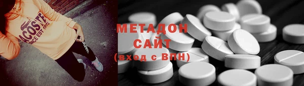 индика Абаза
