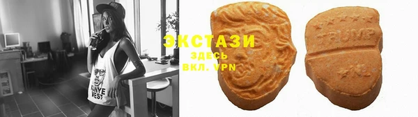 индика Абаза