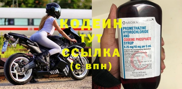 индика Абаза