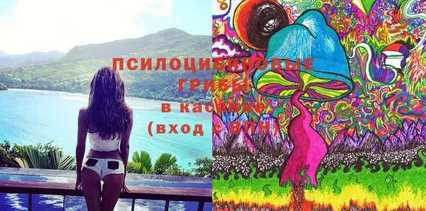 индика Абаза