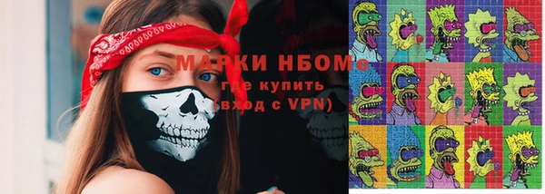 индика Абаза