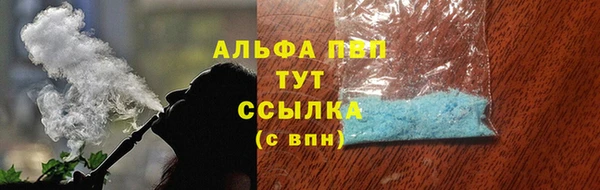 индика Абаза