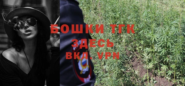 индика Абаза