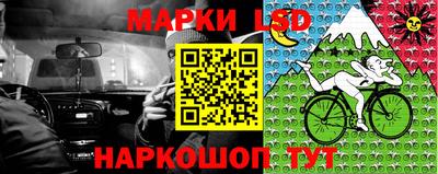 гашик Донской