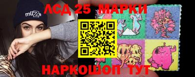 Альфа ПВП Донецк