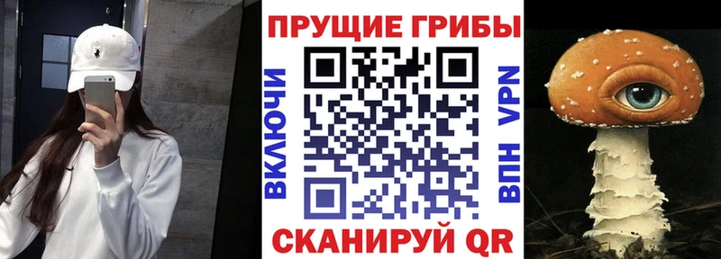 Галлюциногенные грибы мицелий  Ростов-на-Дону 
