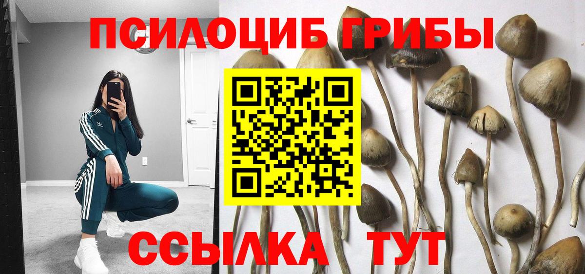 Галлюциногенные грибы Psilocybine cubensis  Галлюциногенные грибы мицелий  Вход с VPN  как найти закладки  Ростов-на-Дону 