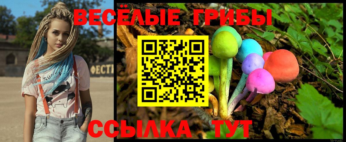 Галлюциногенные грибы GOLDEN TEACHER Ростов-на-Дону
