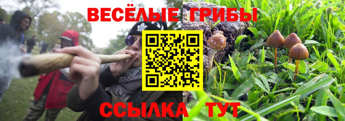 ТГК  Ростов-на-Дону  Конопля  LSD-25  Метамфетамин  ГАШИШ  APVP СК кристаллы  Мефедрон   Вход с VPN  COCAIN 